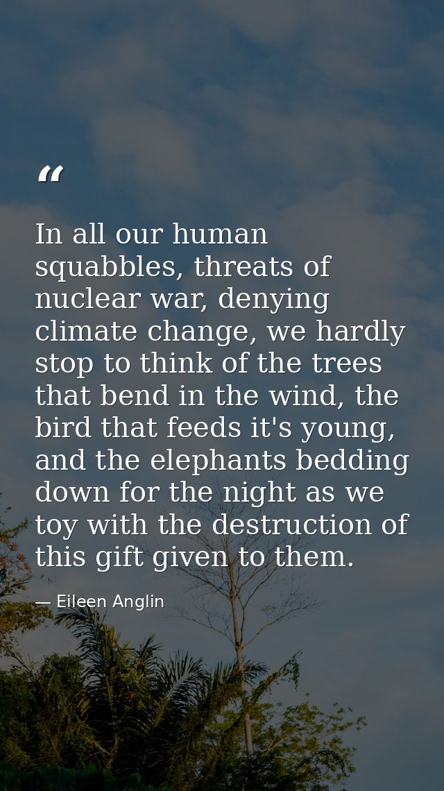 In all our human squabbles, threats of nuclear war, denying climate change, we hardly stop to think of the trees that be — Eileen Anglin