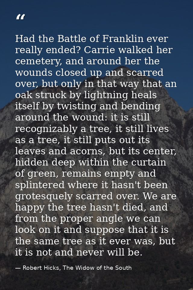 Had the Battle of Franklin ever really ended? Carrie walked her cemetery, and around her the wounds closed up and scarre — Robert Hicks, The Widow of the South
