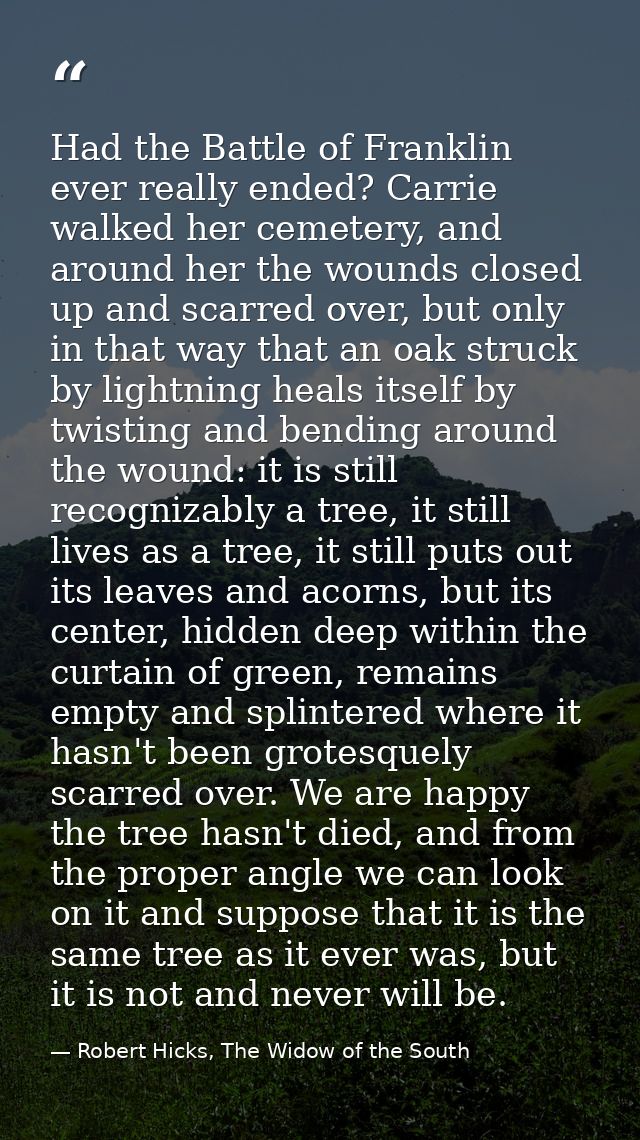 Had the Battle of Franklin ever really ended? Carrie walked her cemetery, and around her the wounds closed up and scarre — Robert Hicks, The Widow of the South