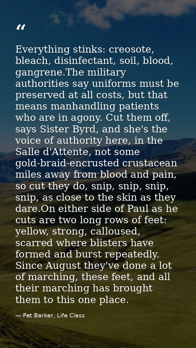 Everything stinks: creosote, bleach, disinfectant, soil, blood, gangrene.The military authorities say uniforms must be p — Pat Barker, Life Class