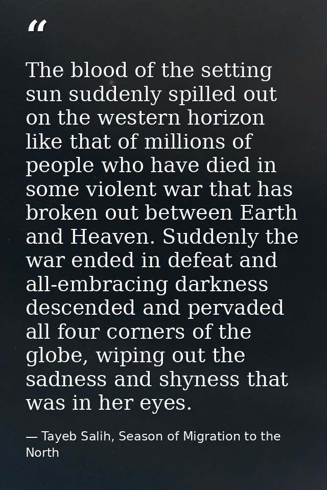 The blood of the setting sun suddenly spilled out on the western horizon like that of millions of people who have died i — Tayeb Salih, Season of Migration to the North