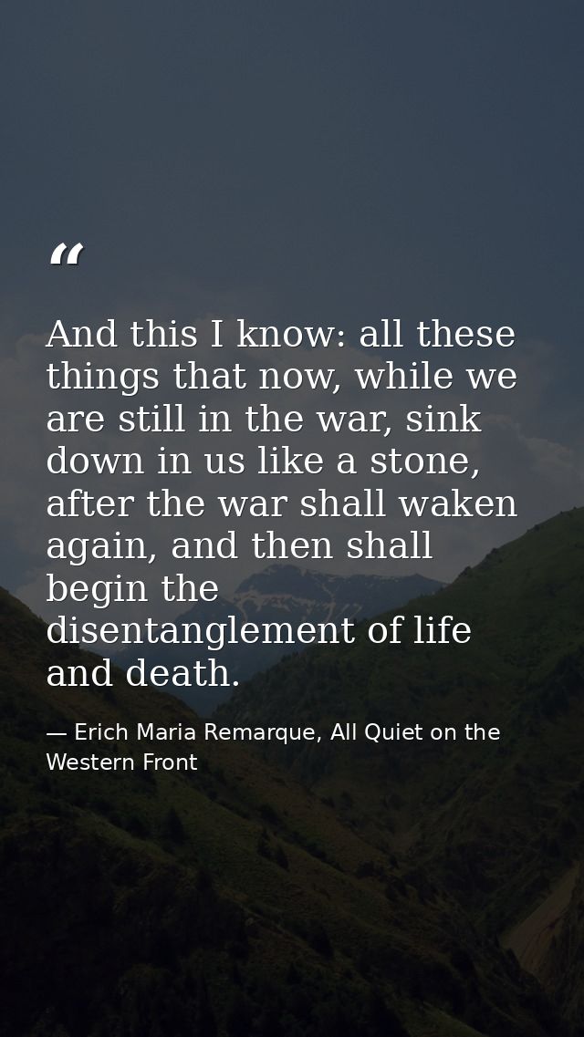 And this I know: all these things that now, while we are still in the war, sink down in us like a stone, after the war s — Erich Maria Remarque, All Quiet on the Western Front