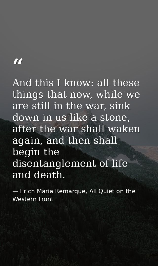 And this I know: all these things that now, while we are still in the war, sink down in us like a stone, after the war s — Erich Maria Remarque, All Quiet on the Western Front