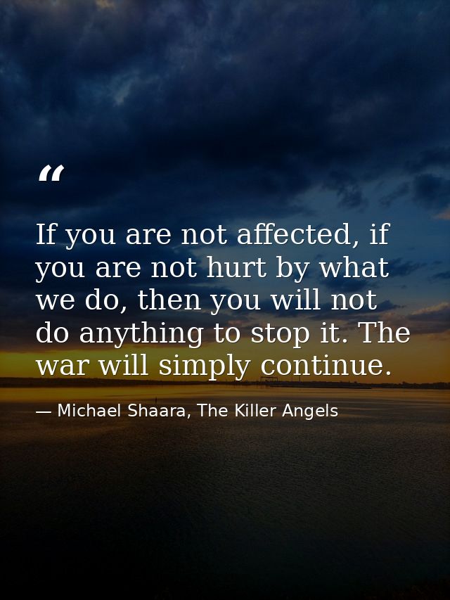 If you are not affected, if you are not hurt by what we do, then you will not do anything to stop it. The war will simpl — Michael Shaara, The Killer Angels