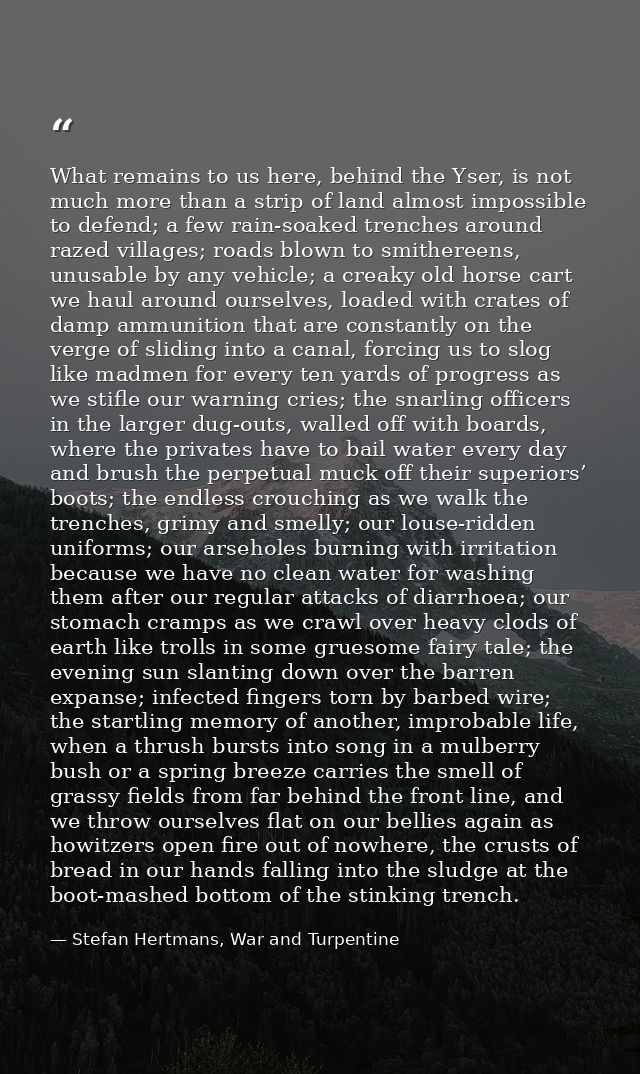What remains to us here, behind the Yser, is not much more than a strip of land almost impossible to defend; a few rain- — Stefan Hertmans, War and Turpentine