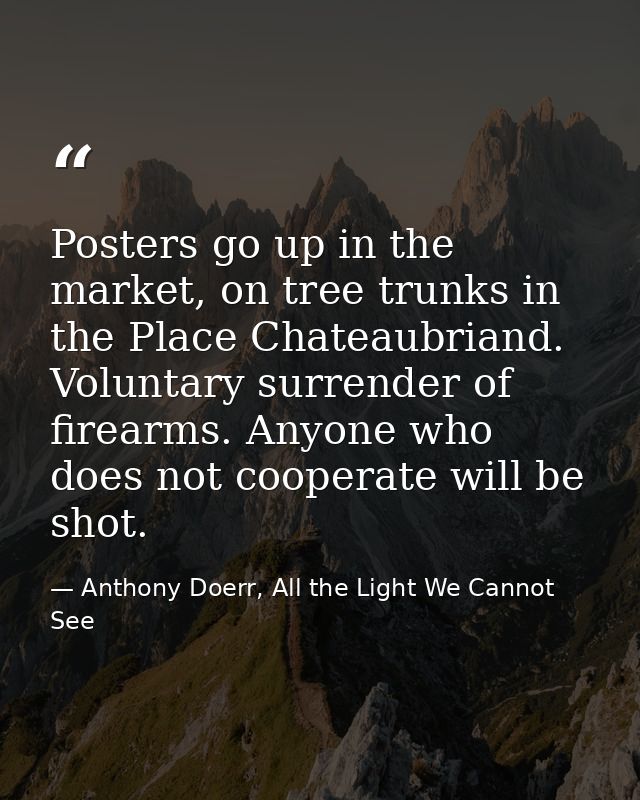 Posters go up in the market, on tree trunks in the Place Chateaubriand. Voluntary surrender of firearms. Anyone who does — Anthony Doerr, All the Light We Cannot See