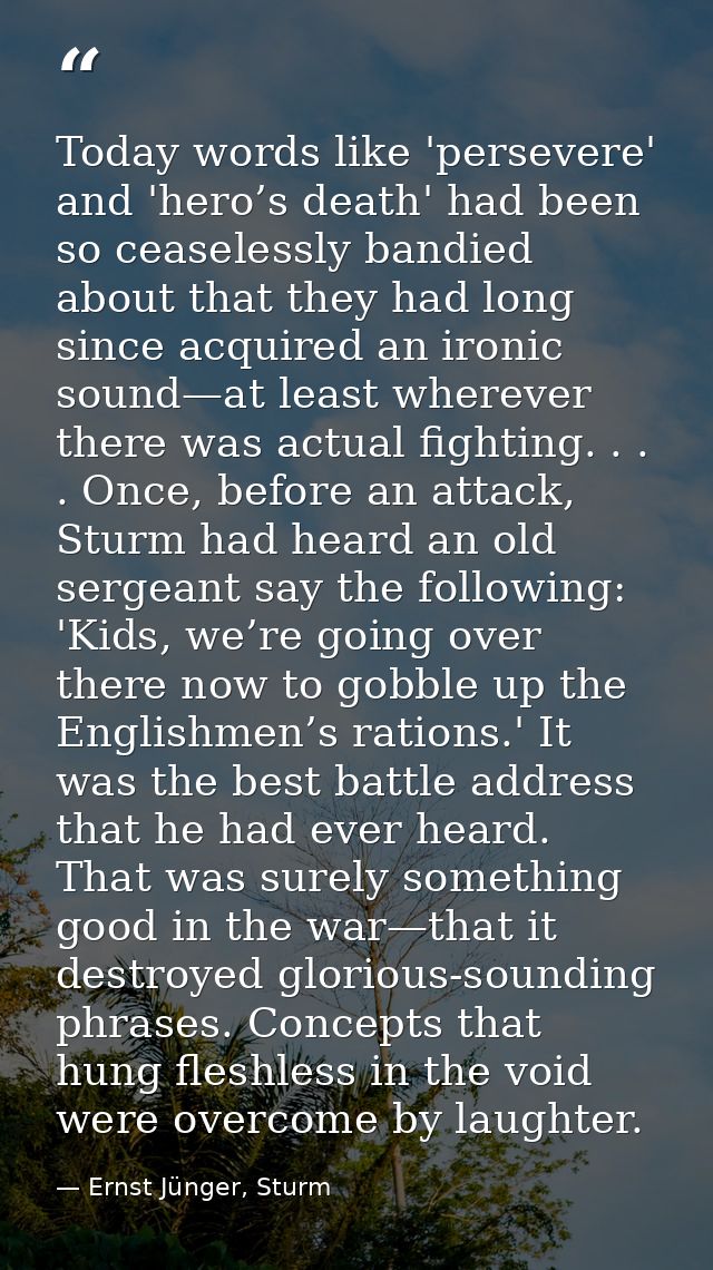 Today words like 'persevere' and 'hero’s death' had been so ceaselessly bandied about that they had long since acquired  — Ernst Jünger, Sturm