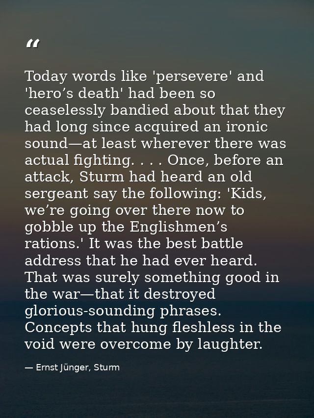 Today words like 'persevere' and 'hero’s death' had been so ceaselessly bandied about that they had long since acquired  — Ernst Jünger, Sturm