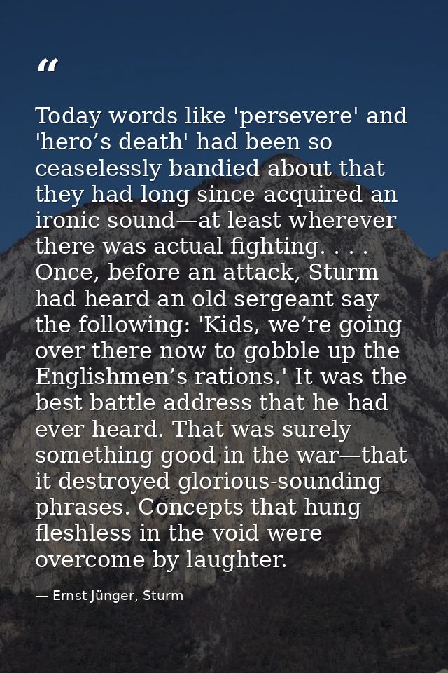 Today words like 'persevere' and 'hero’s death' had been so ceaselessly bandied about that they had long since acquired  — Ernst Jünger, Sturm