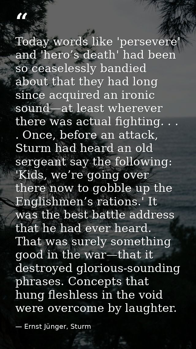 Today words like 'persevere' and 'hero’s death' had been so ceaselessly bandied about that they had long since acquired  — Ernst Jünger, Sturm