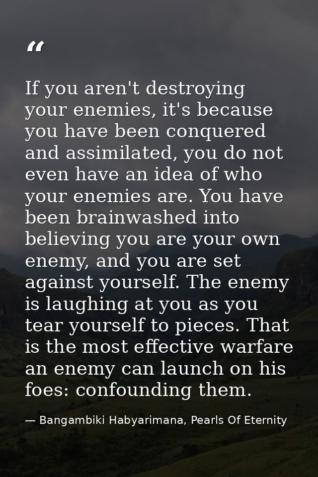 If you aren't destroying your enemies, it's because you have been conquered and assimilated, you do not even have an ide — Bangambiki Habyarimana, Pearls Of Eternity