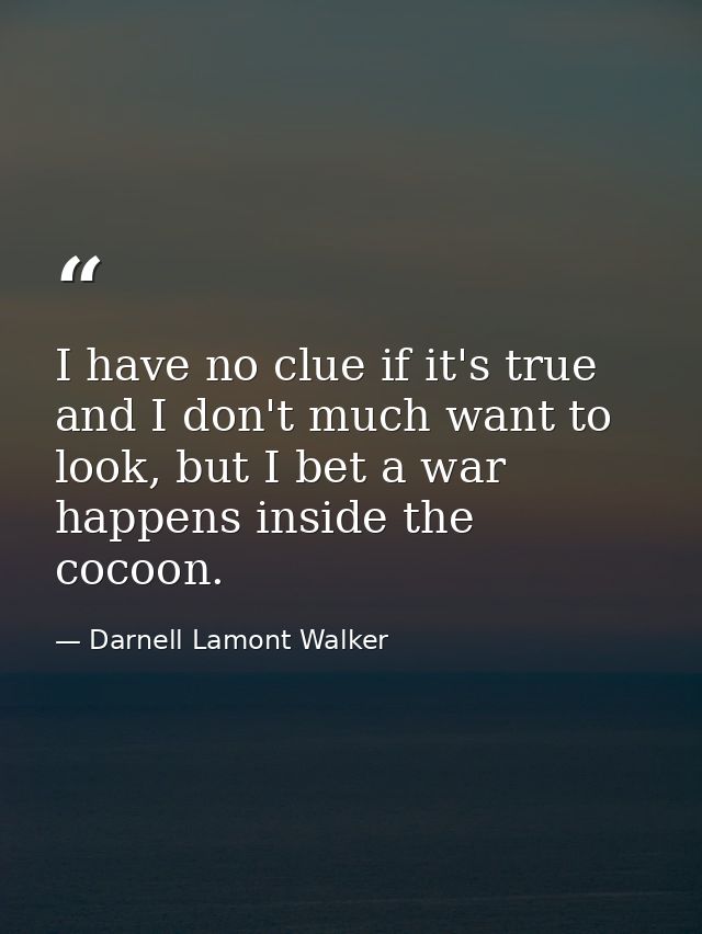 I have no clue if it's true and I don't much want to look, but I bet a war happens inside the cocoon. — Darnell Lamont Walker