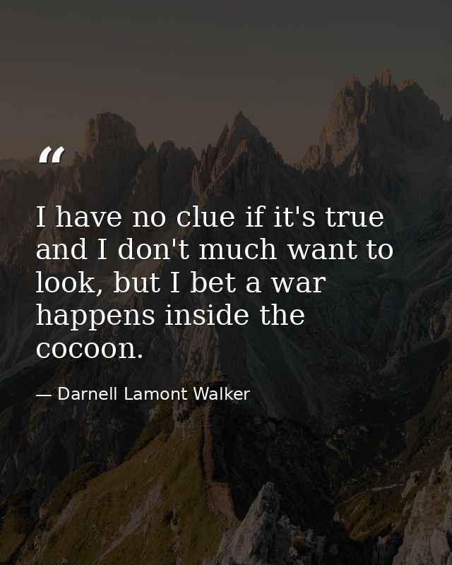 I have no clue if it's true and I don't much want to look, but I bet a war happens inside the cocoon. — Darnell Lamont Walker