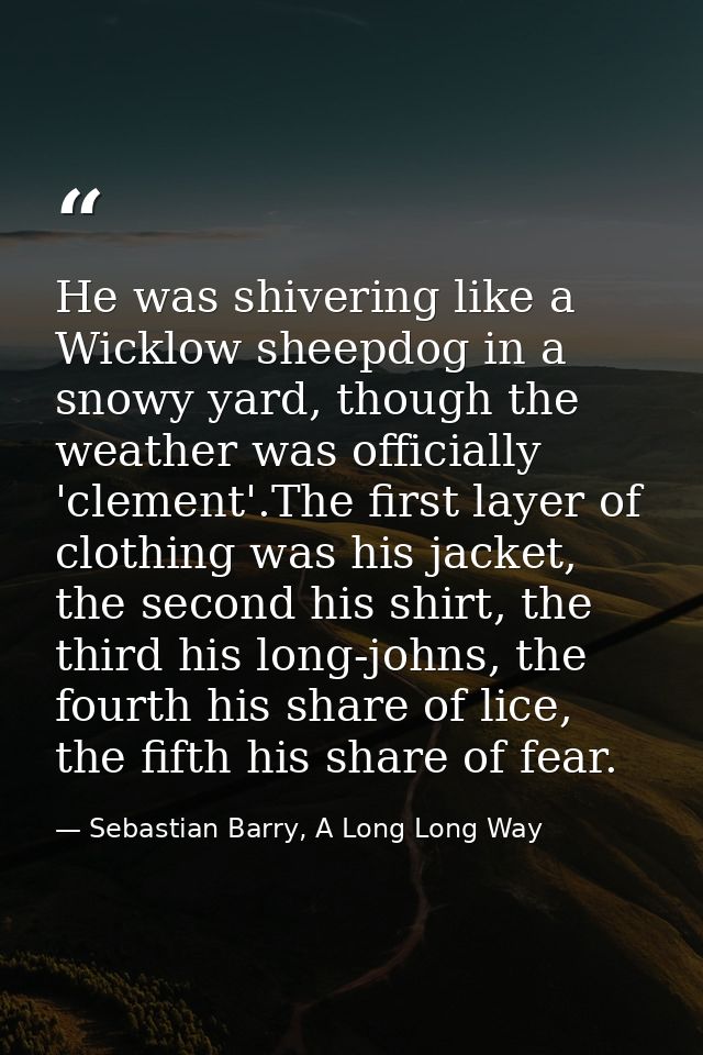 He was shivering like a Wicklow sheepdog in a snowy yard, though the weather was officially 'clement'.The first layer of — Sebastian Barry, A Long Long Way