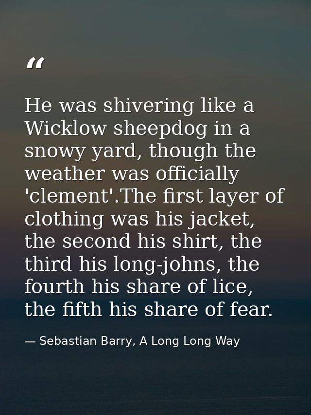 He was shivering like a Wicklow sheepdog in a snowy yard, though the weather was officially 'clement'.The first layer of — Sebastian Barry, A Long Long Way