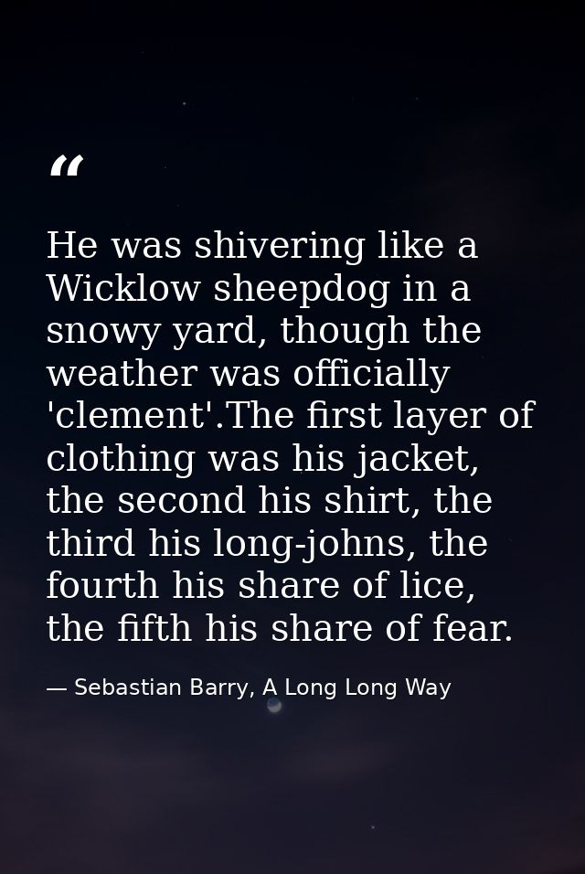 He was shivering like a Wicklow sheepdog in a snowy yard, though the weather was officially 'clement'.The first layer of — Sebastian Barry, A Long Long Way