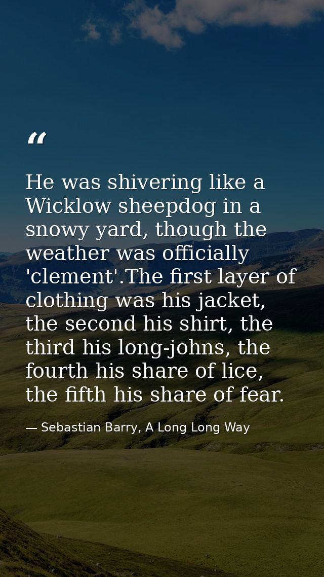 He was shivering like a Wicklow sheepdog in a snowy yard, though the weather was officially 'clement'.The first layer of — Sebastian Barry, A Long Long Way