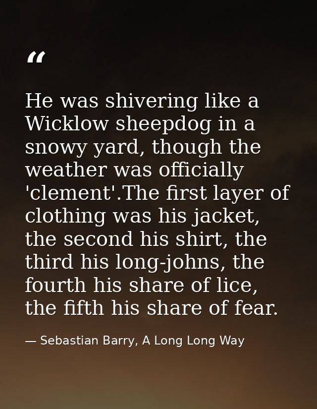 He was shivering like a Wicklow sheepdog in a snowy yard, though the weather was officially 'clement'.The first layer of — Sebastian Barry, A Long Long Way
