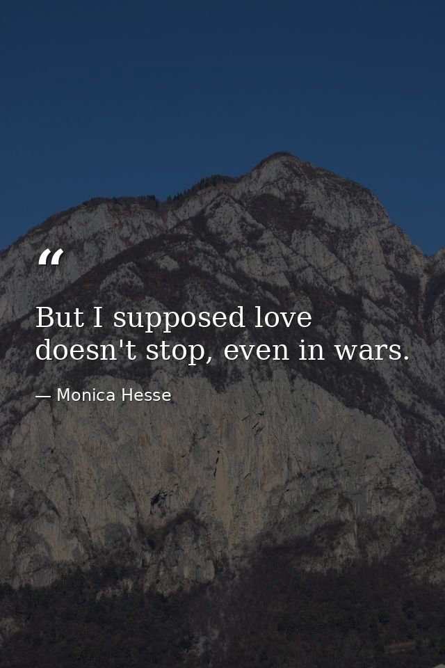 But I supposed love doesn't stop, even in wars. — Monica Hesse