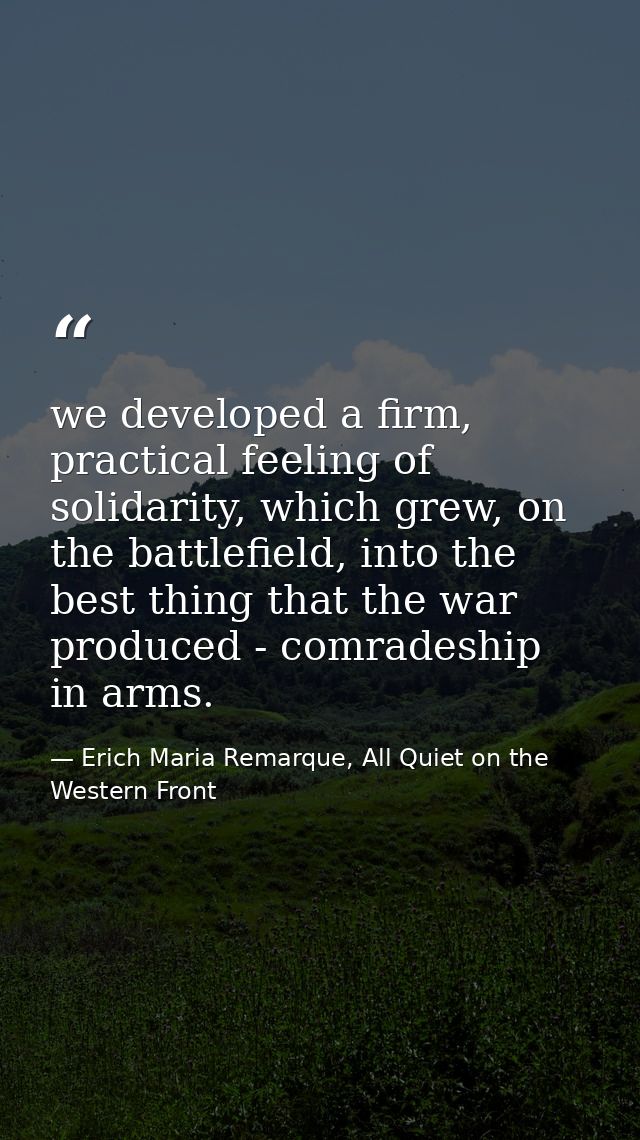 we developed a firm, practical feeling of solidarity, which grew, on the battlefield, into the best thing that the war p — Erich Maria Remarque, All Quiet on the Western Front