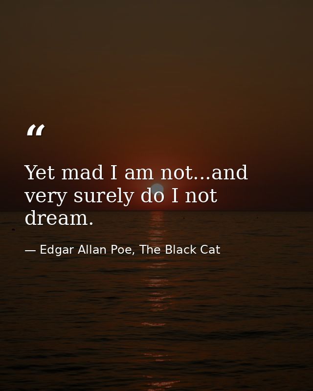 Yet mad I am not...and very surely do I not dream. — Edgar Allan Poe, The Black Cat