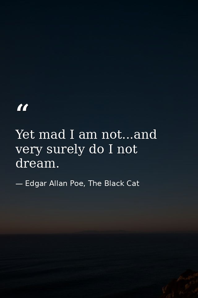 Yet mad I am not...and very surely do I not dream. — Edgar Allan Poe, The Black Cat