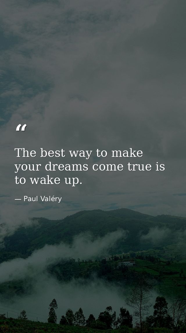 The best way to make your dreams come true is to wake up. — Paul Valéry