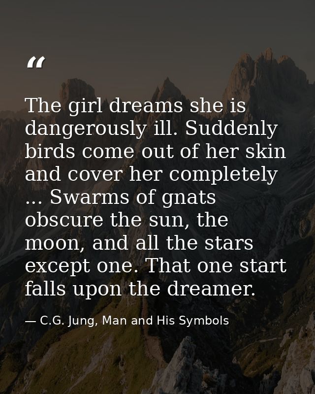 The girl dreams she is dangerously ill. Suddenly birds come out of her skin and cover her completely ... Swarms of gnats — C.G. Jung, Man and His Symbols