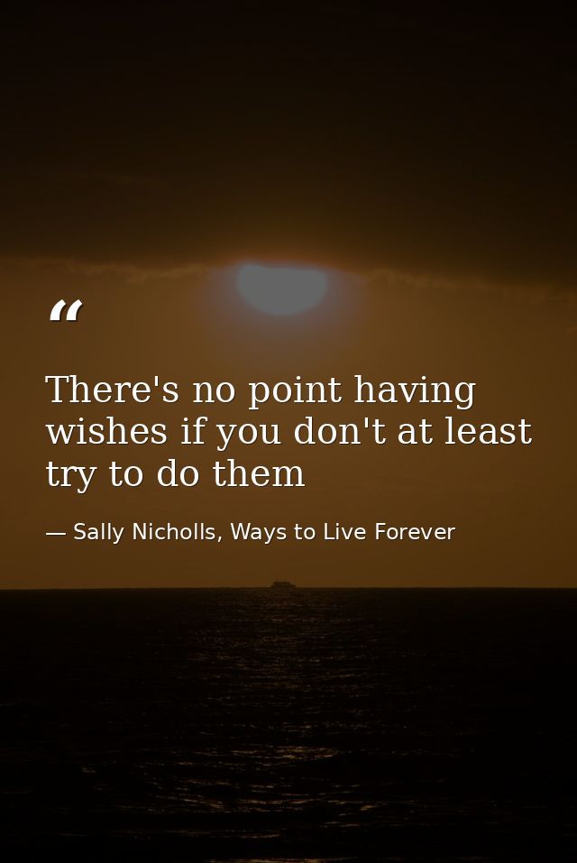 There's no point having wishes if you don't at least try to do them — Sally Nicholls, Ways to Live Forever