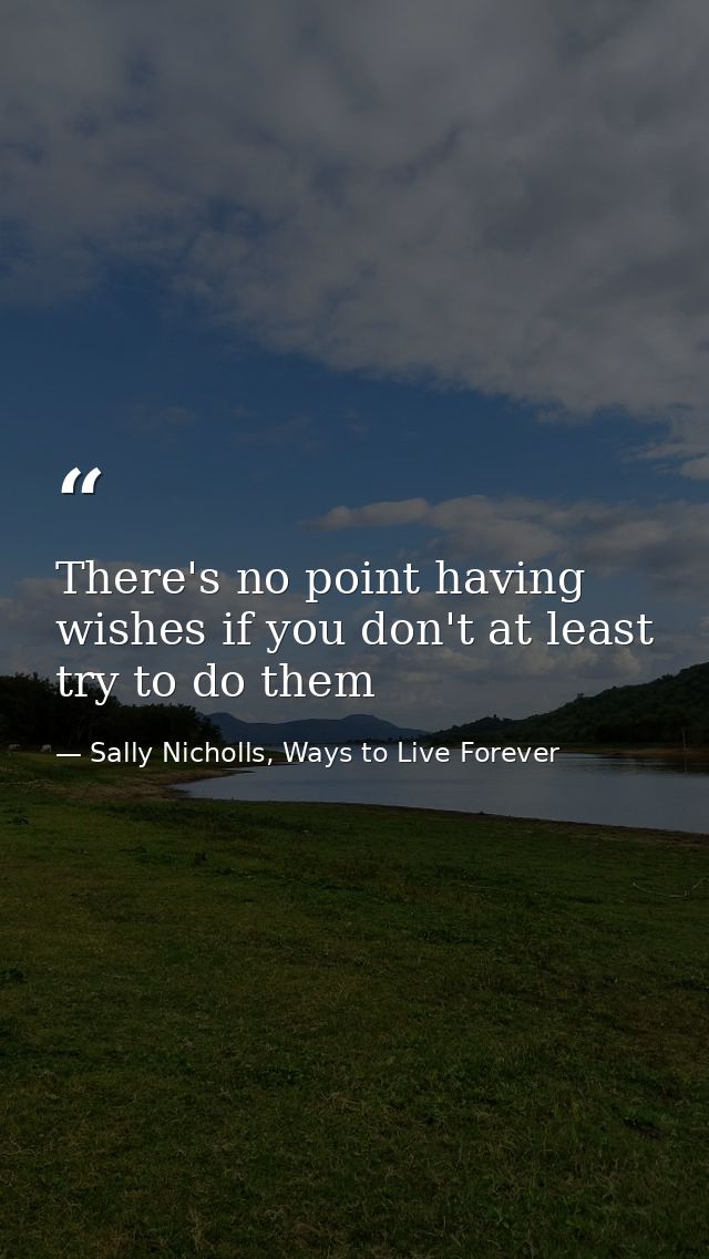 There's no point having wishes if you don't at least try to do them — Sally Nicholls, Ways to Live Forever