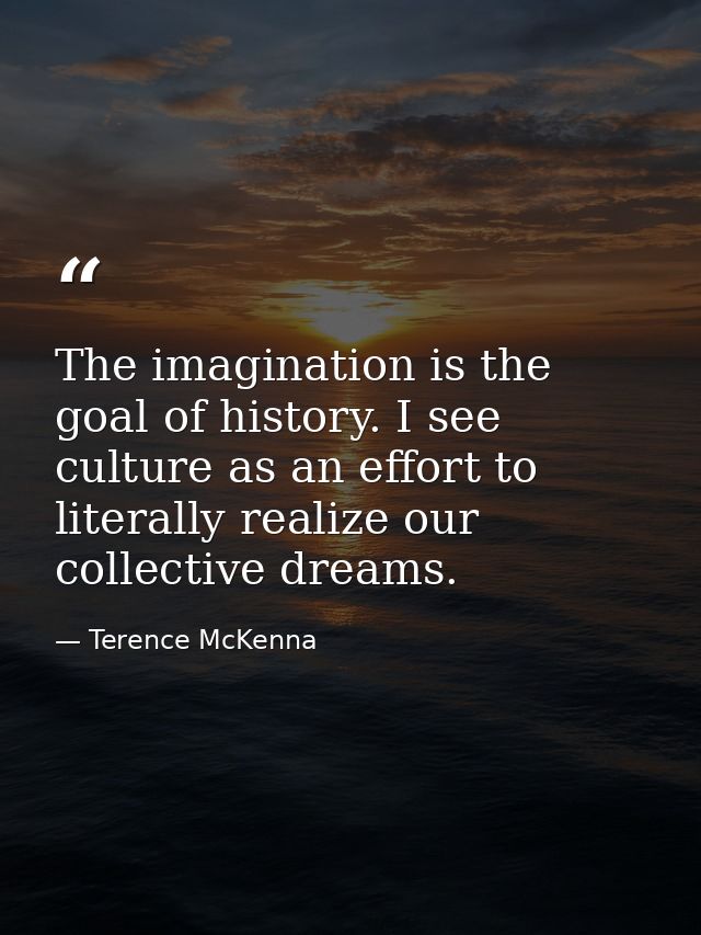 The imagination is the goal of history. I see culture as an effort to literally realize our collective dreams. — Terence McKenna