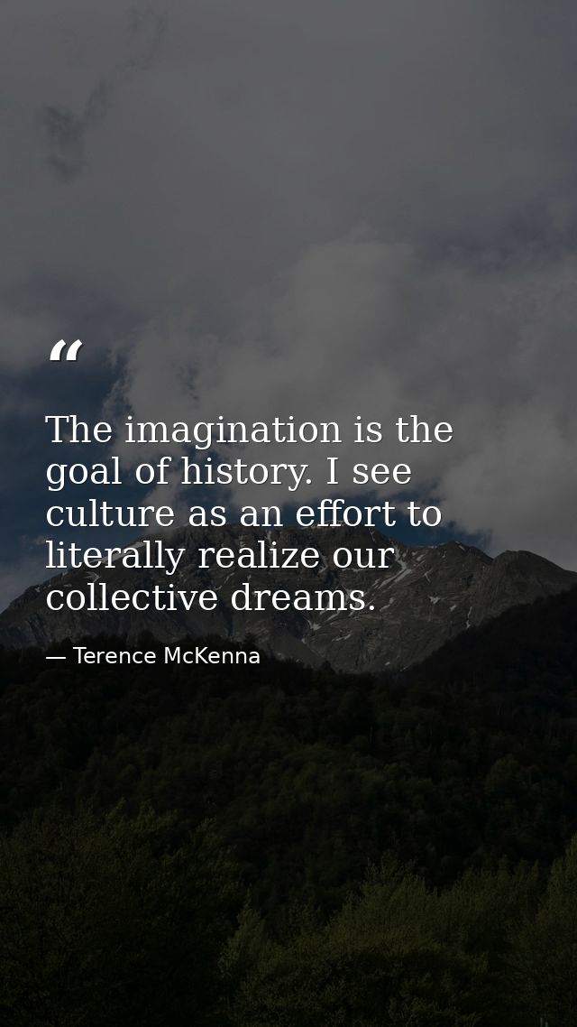 The imagination is the goal of history. I see culture as an effort to literally realize our collective dreams. — Terence McKenna