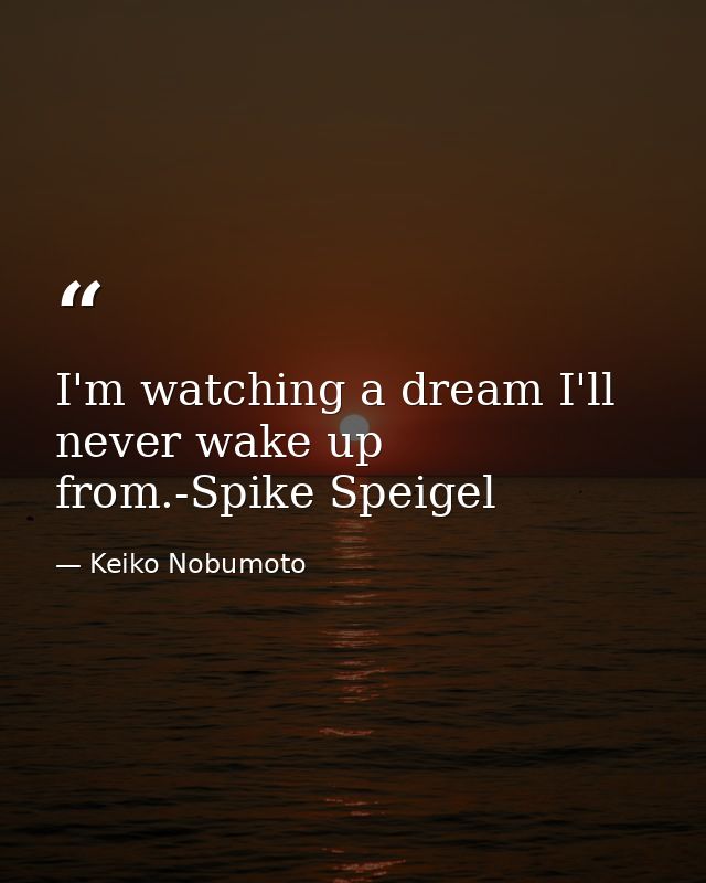 I'm watching a dream I'll never wake up from.-Spike Speigel — Keiko Nobumoto