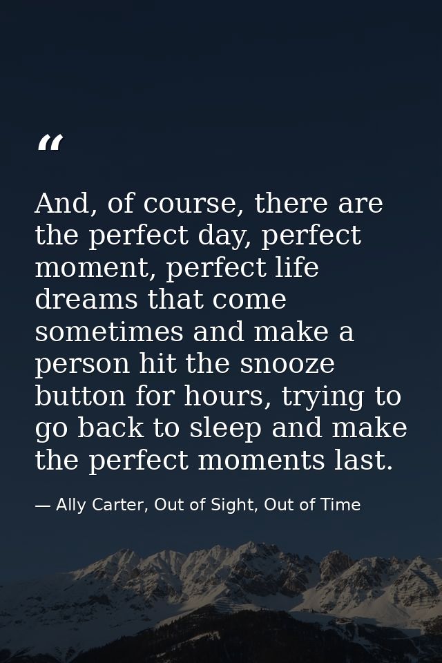 And, of course, there are the perfect day, perfect moment, perfect life dreams that come sometimes and make a person hit — Ally Carter, Out of Sight, Out of Time