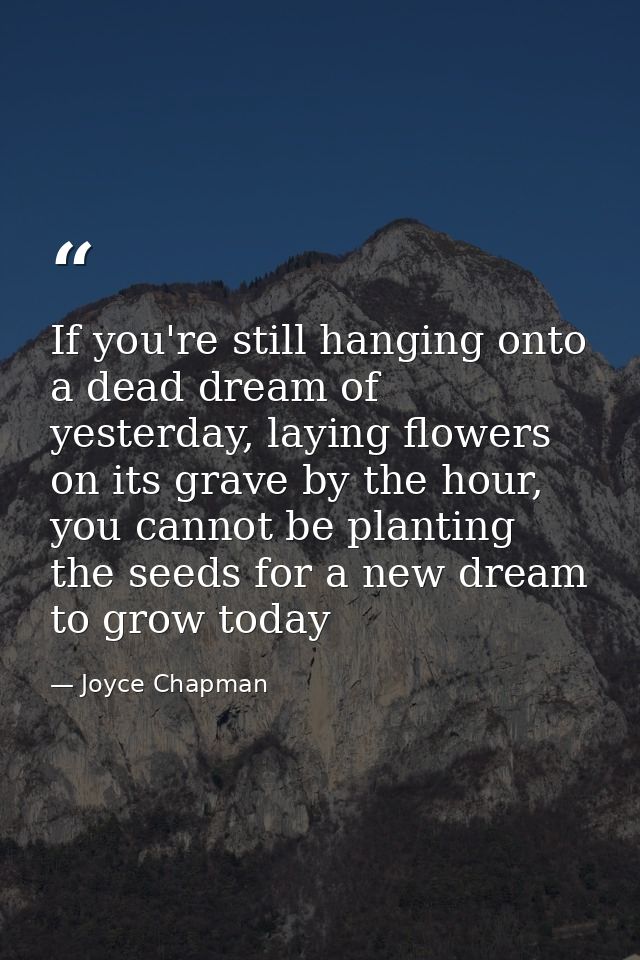 If you're still hanging onto a dead dream of yesterday, laying flowers on its grave by the hour, you cannot be planting  — Joyce Chapman