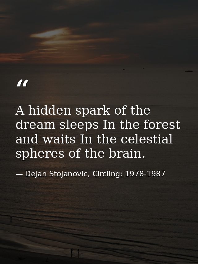 A hidden spark of the dream sleeps In the forest and waits In the celestial spheres of the brain. — Dejan Stojanovic, Circling: 1978-1987