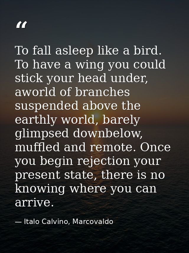 To fall asleep like a bird. To have a wing you could stick your head under, aworld of branches suspended above the earth — Italo Calvino, Marcovaldo