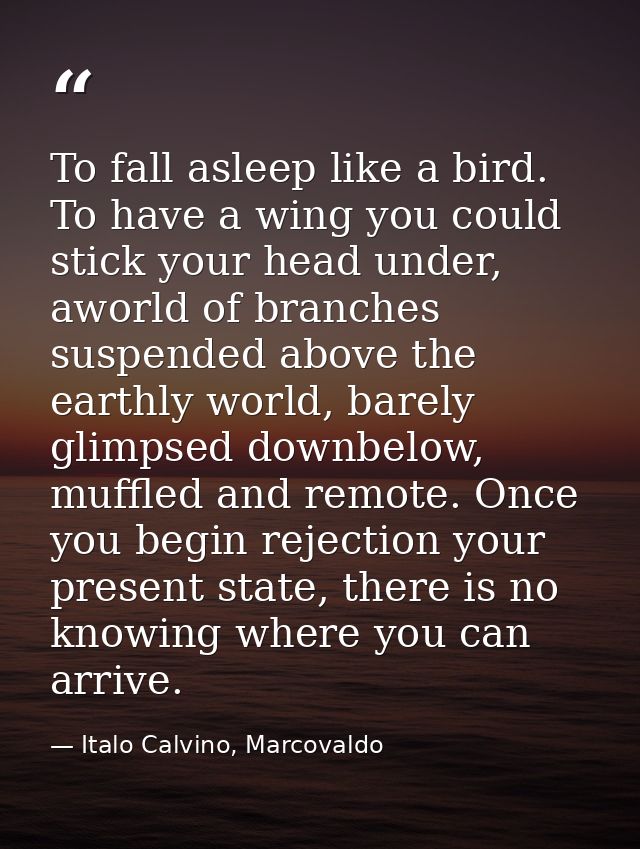 To fall asleep like a bird. To have a wing you could stick your head under, aworld of branches suspended above the earth — Italo Calvino, Marcovaldo