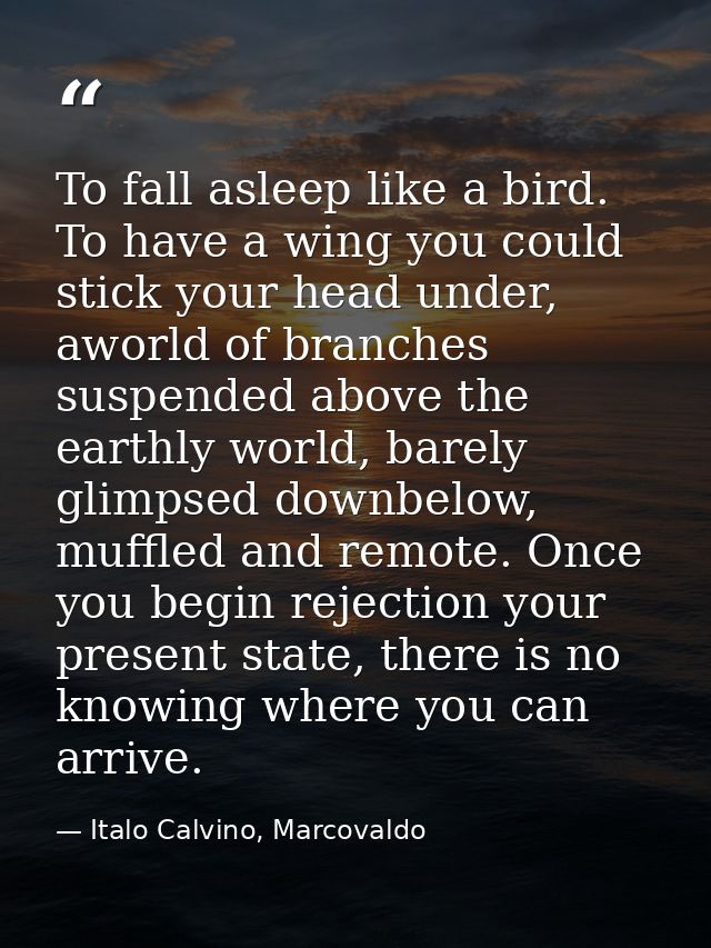 To fall asleep like a bird. To have a wing you could stick your head under, aworld of branches suspended above the earth — Italo Calvino, Marcovaldo