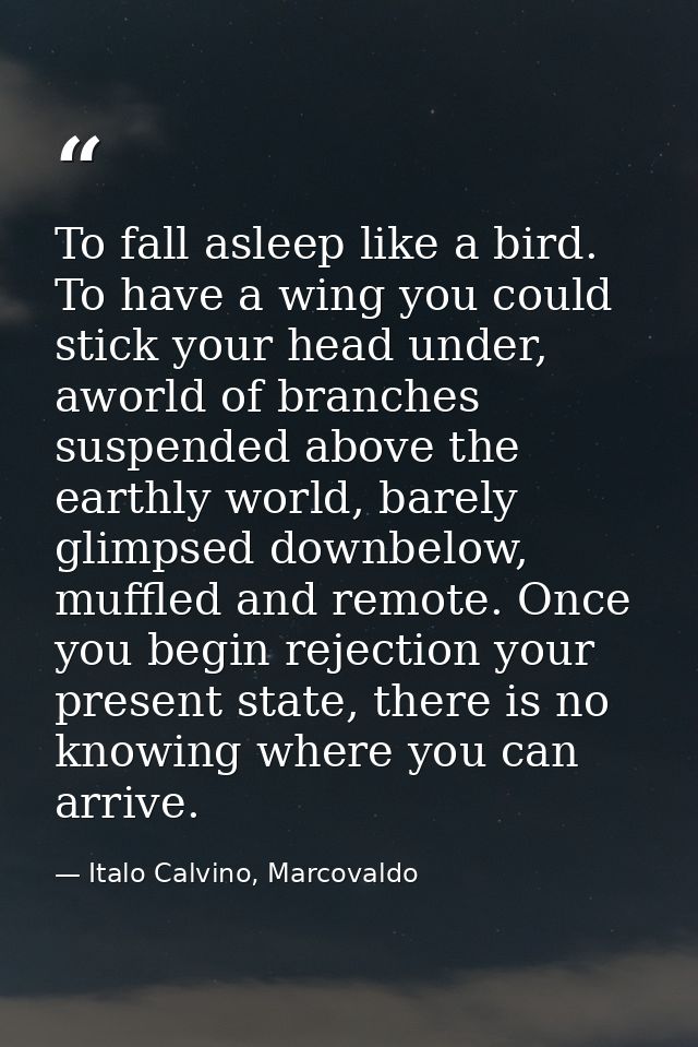 To fall asleep like a bird. To have a wing you could stick your head under, aworld of branches suspended above the earth — Italo Calvino, Marcovaldo