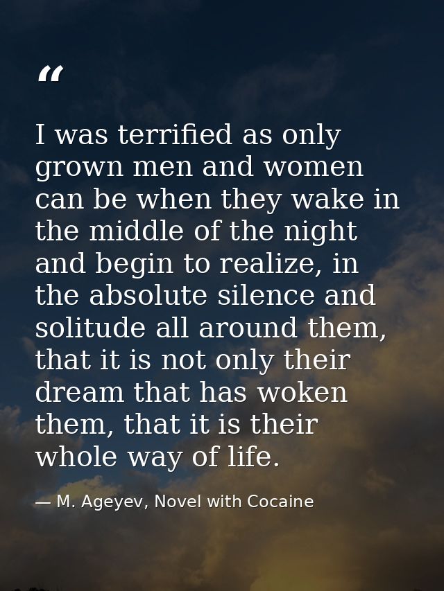 I was terrified as only grown men and women can be when they wake in the middle of the night and begin to realize, in th — M. Ageyev, Novel with Cocaine