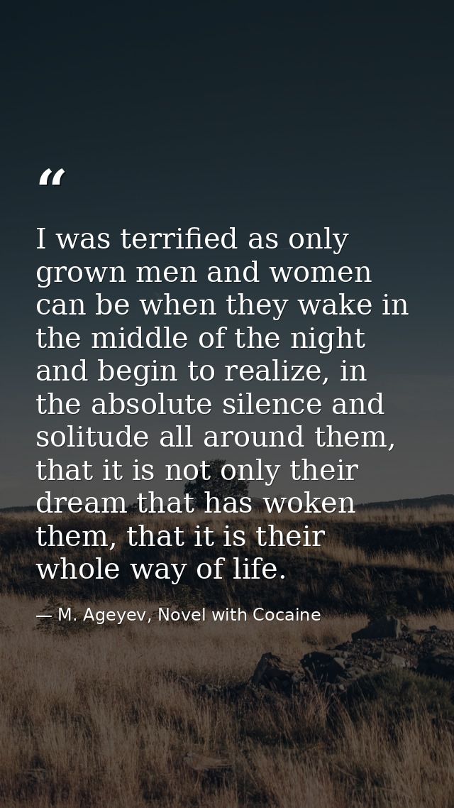 I was terrified as only grown men and women can be when they wake in the middle of the night and begin to realize, in th — M. Ageyev, Novel with Cocaine