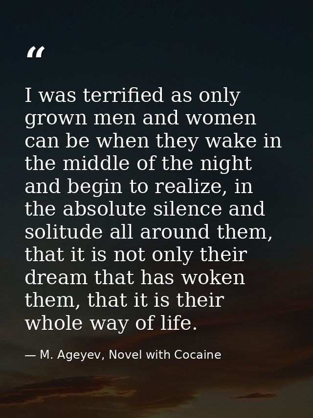 I was terrified as only grown men and women can be when they wake in the middle of the night and begin to realize, in th — M. Ageyev, Novel with Cocaine