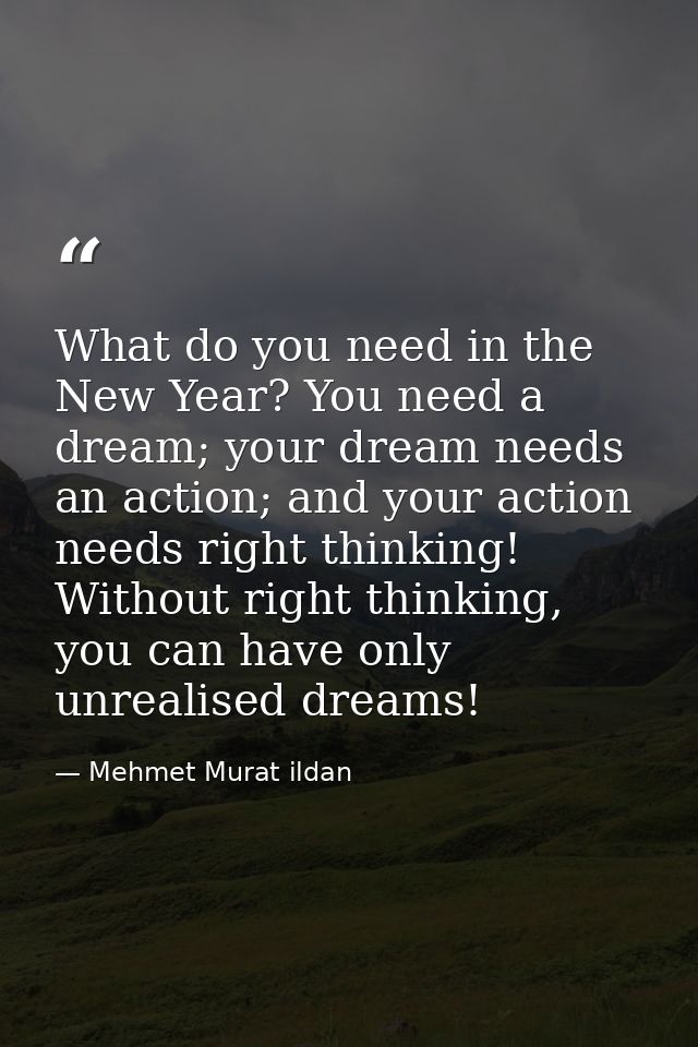 What do you need in the New Year? You need a dream; your dream needs an action; and your action needs right thinking! Wi — Mehmet Murat ildan