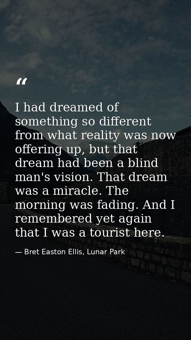 I had dreamed of something so different from what reality was now offering up, but that dream had been a blind man's vis — Bret Easton Ellis, Lunar Park