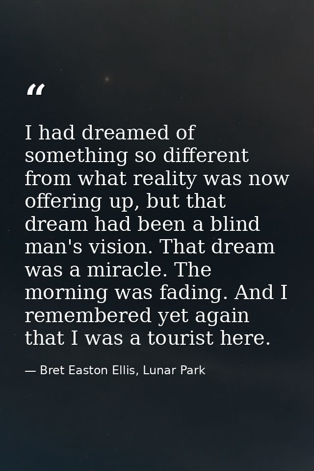 I had dreamed of something so different from what reality was now offering up, but that dream had been a blind man's vis — Bret Easton Ellis, Lunar Park