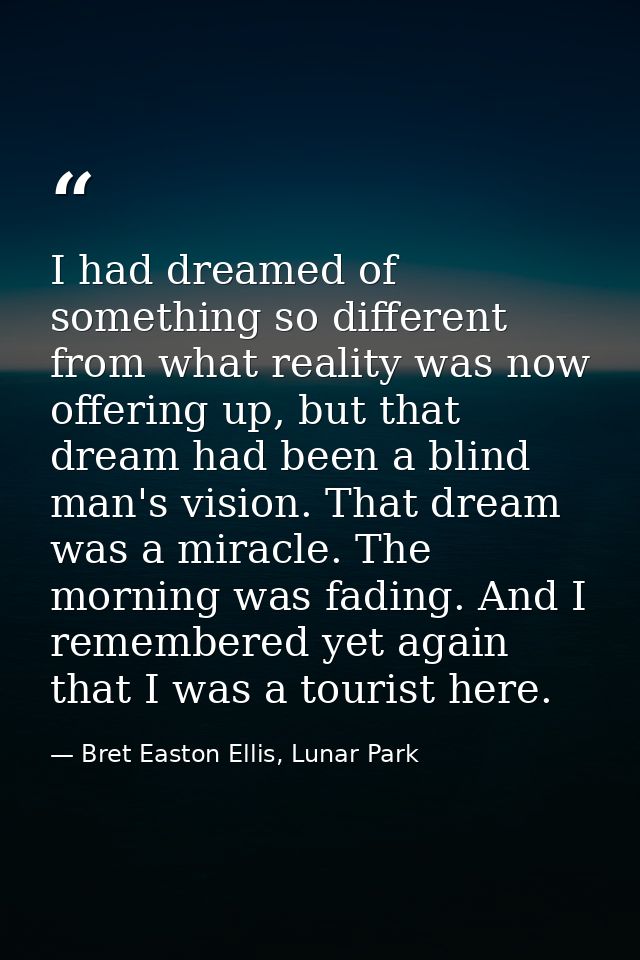 I had dreamed of something so different from what reality was now offering up, but that dream had been a blind man's vis — Bret Easton Ellis, Lunar Park