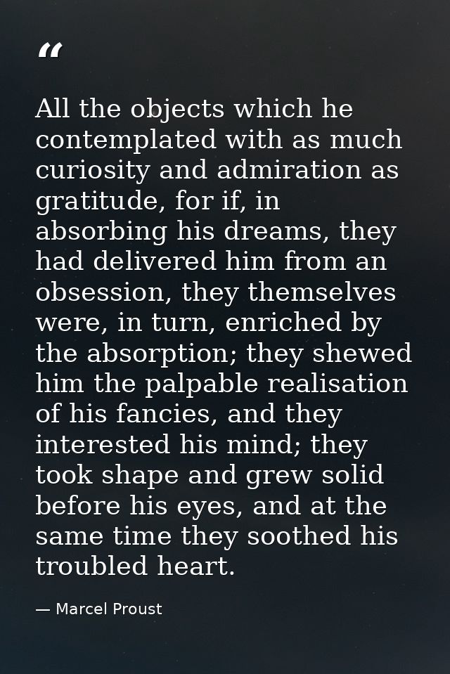 All the objects which he contemplated with as much curiosity and admiration as gratitude, for if, in absorbing his dream — Marcel Proust