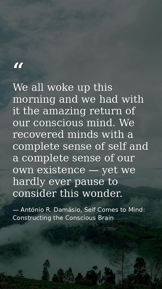We all woke up this morning and we had with it the amazing return of our conscious mind. We recovered minds with a compl — António R. Damásio, Self Comes to Mind: Constructing the Conscious Brain