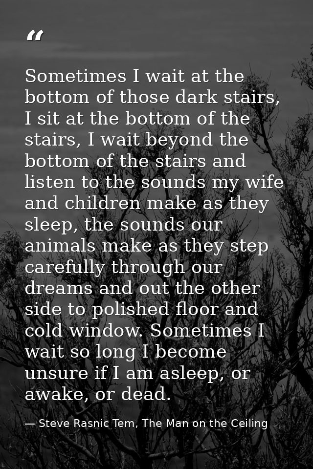 Sometimes I wait at the bottom of those dark stairs, I sit at the bottom of the stairs, I wait beyond the bottom of the  — Steve Rasnic Tem, The Man on the Ceiling